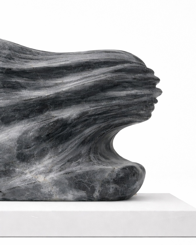 Echo of Self - View 3