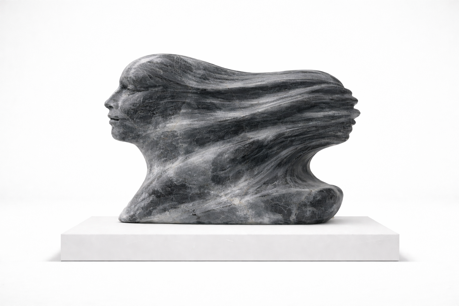Echo of Self - View 1