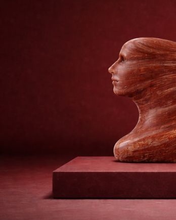 Echo of Life - View 3